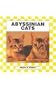 Abyssinian Cats (Cats Set I)