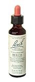 Bach Flower Remedies Beech 20ml from Bach Flower Remedies