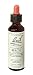 Bach Beech 20 ml