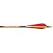 12 - Pk. Beman® ICS Hunter Junior™ Arrows with Vane