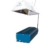 Digital Super Sunlight System 1000