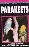 Parakeets A Video Guide to Parakeet Care and Ownership 50 Minutes
