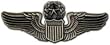 Command Pilot Large Pin