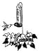 Hummingb Planter Feeder