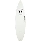 Surftech Dick Brewer Fish Surfboard