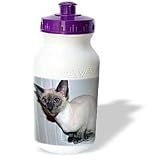 Cats - Oriental Short Hair - Water Bottles