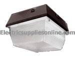 RAB VAN3HH50 50W Metal Halide Lamp 120V Vandalproof Light , Bronze
