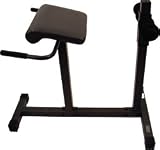 TITLE Hyperextension Bench