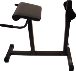 TITLE Hyperextension Bench