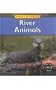 River Animals (Animals in Their Habitats)