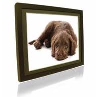 PICTOREA 12 INCH PICTOREA PRO DIGITAL PHOTO FRAME (BLACK WOOD) MP3/MOVIES & JPEG REMOTE