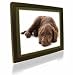 PICTOREA 12 INCH PICTOREA PRO DIGITAL PHOTO FRAME (BLACK WOOD) MP3/MOVIES & JPEG REMOTE