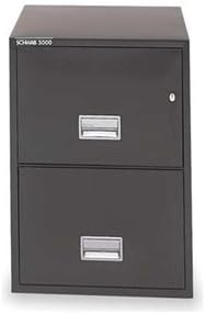 File, Fire, Letter, 27 9/16Hx16 5/8W, Black