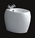 HOSTILIAN Bidet - Modern European Italian Russian European Art Deco Decor Washlet Horizontal Spray Bio Beday Biday