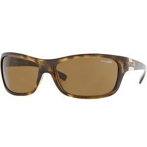 Arnette Speed Sunglasses