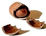 WHOLE ROASTED HAZELNUTS