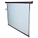 EliteScreens 113-Inch Motorized Home Theater Projection Screen