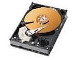 Caviar SE 250GB ATA/100 Hard Drive