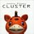 Cluster