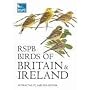 RSPB Birds of Britain and Ireland: Interactive PC and PDA Edition (Rspb Interactive PC & Pda Edit)