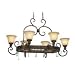 8 Light Pot Rack