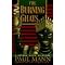 Best Fiction Series