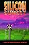 Silicon Sunset : Where the Information Highway Really Leads