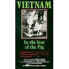 Vietnam: In the Year of the Pig