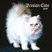 persian4 - Persian Cats 2009 Wall Calendar