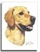 labrador15 - Yellow Labrador Designer Dog Flags