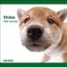 Shiba Inu 2009 Wall Calendar