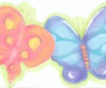 Lime Green Butterfly Kisses Wallpaper Border
