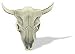 STEER SKULL KNOB (2 9/16