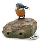 野鳥の森 (カワセミ)の画像