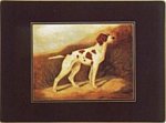 Lady Clare Traditional Placemats Sporting Dogs