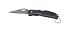 image and picture of Keychain Lockback Knife