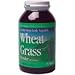 Wheat Grass Powder 100% Organic 24 oz