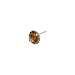 Women's Sterling Silver Faceted Citrine Gemstone Earrings