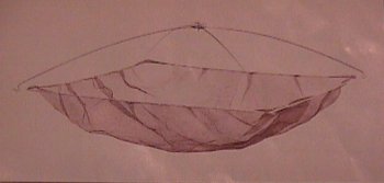 Umbrella Net