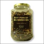 Dried Forest Mushrooms