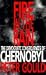 Fire in the Rain: The Democratic Consequences of Chernobyl