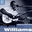 Big Joe Williams