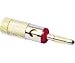 CHANNEL VISION 10-J-BPR Single Banana Plug