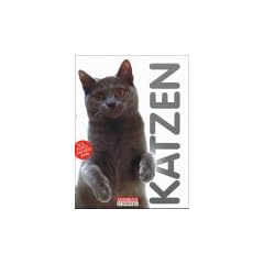 Katzen