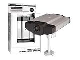Produkt-Bild: DIGITUS Professional DN-16060-1 Network Camera - Netzwerkkamera - Farb (Tag&Nacht) - feste Brennweite - 10100 - DC 12 V (DN-16060-1)
