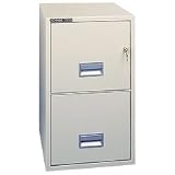 Schwab 2LFD5PY 2 Drawer Vertical File, 5000 Series, Insulated, UL 1-Hour Fire, Letter Size, 31D, Pu