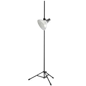 Daylight Studio Lamp With Tripod