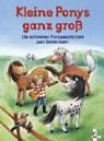 Kleine Ponys ganz gross. Die schoensten Ponygeschichten zum Selberlesen-