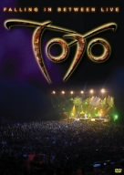フォーリング・イン・ビトゥイーン・ライヴ [DVD]