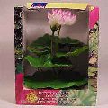 Hagen Tropical Lotus, Extra Large, White/Pink